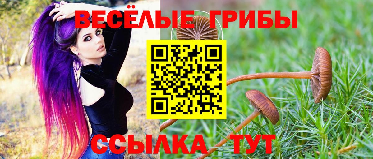 Коломна  Галлюциногенные грибы MAGIC MUSHROOMS  Вход с VPN 
